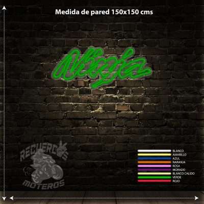 Neon Logo Kawasaki Ninja